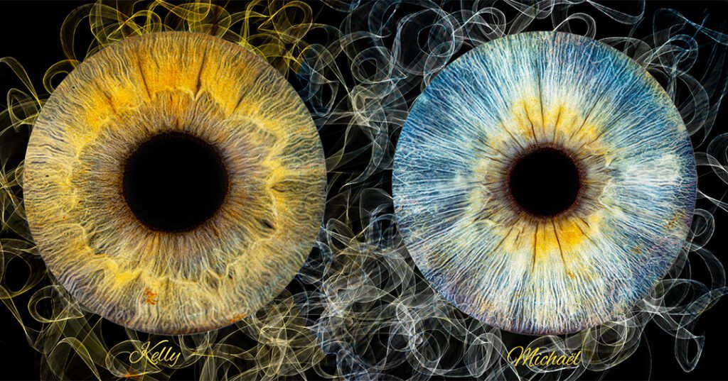 cadeau unique - Iris Captures - 7350 Thulin