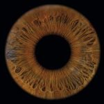 Jean Pierre 305x305 cmjn