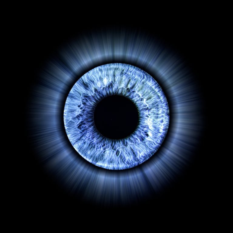 Photographie d'iris bleu chez Iris Captures à 7350 Thulin